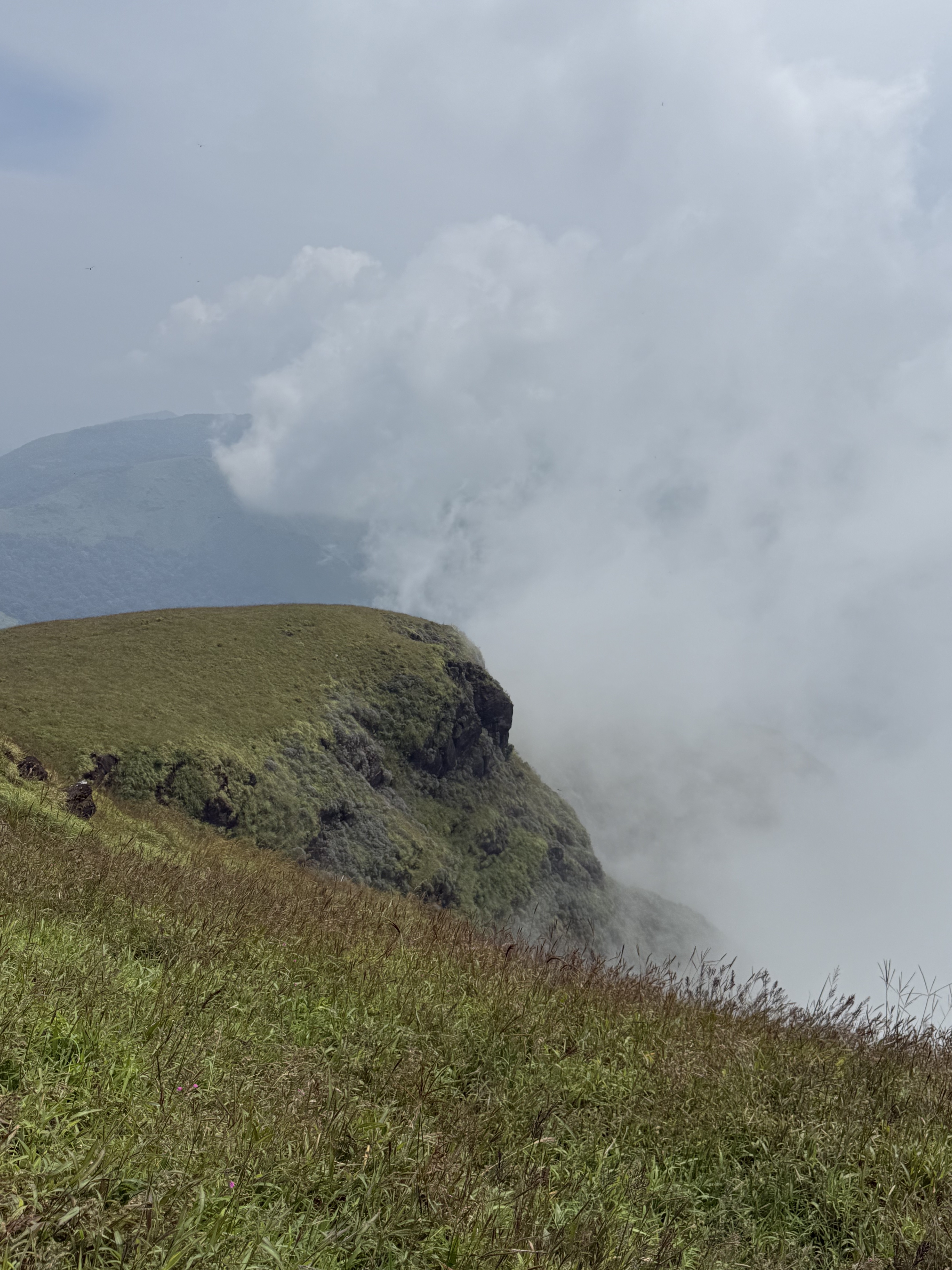 Clouds moving past a high grass cliff