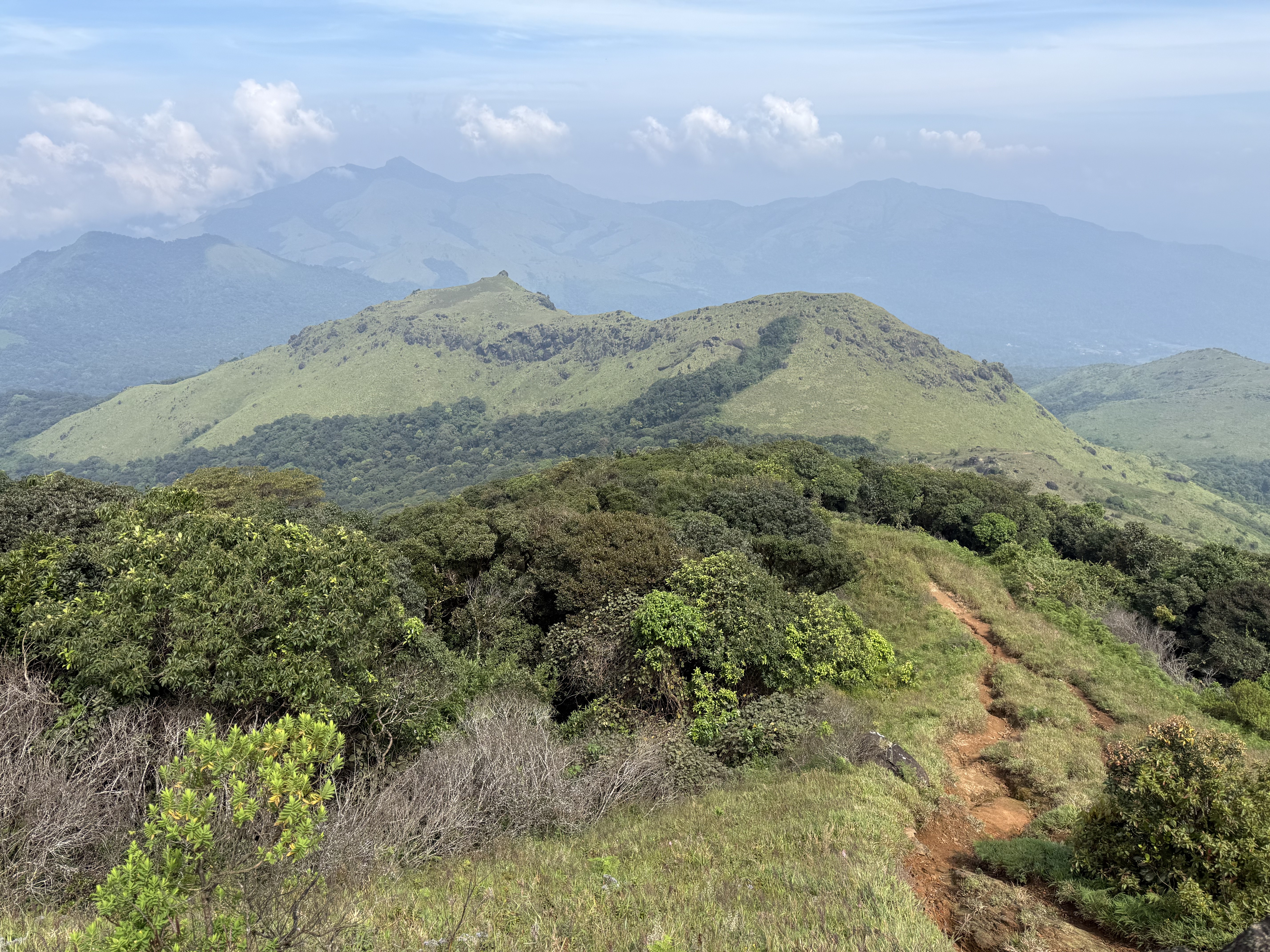 Green Coorg ridgeline with a red-earth trail